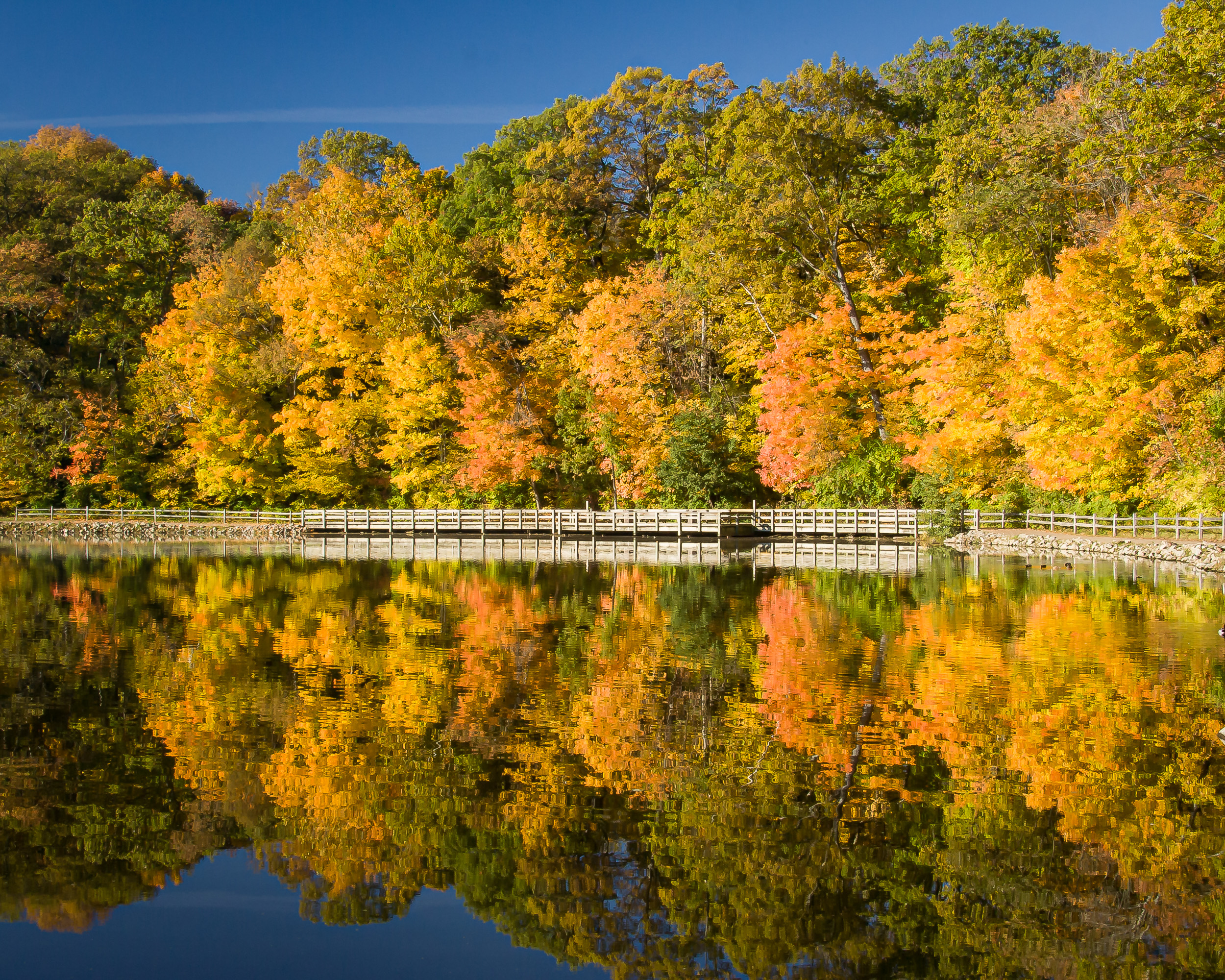 Lake in the Fall in Sharonville, OH
