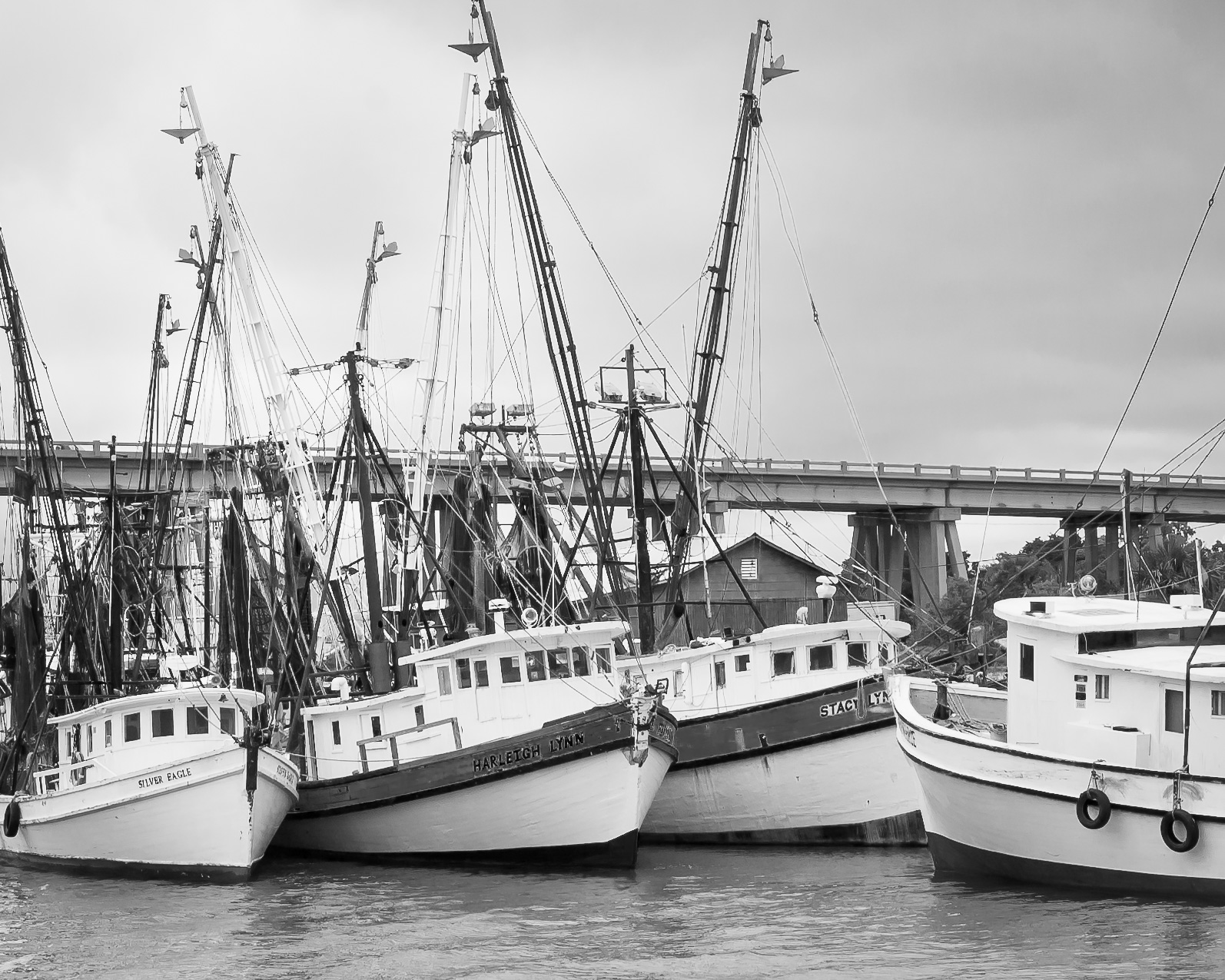 Shrimp Boats in Savannah, GA